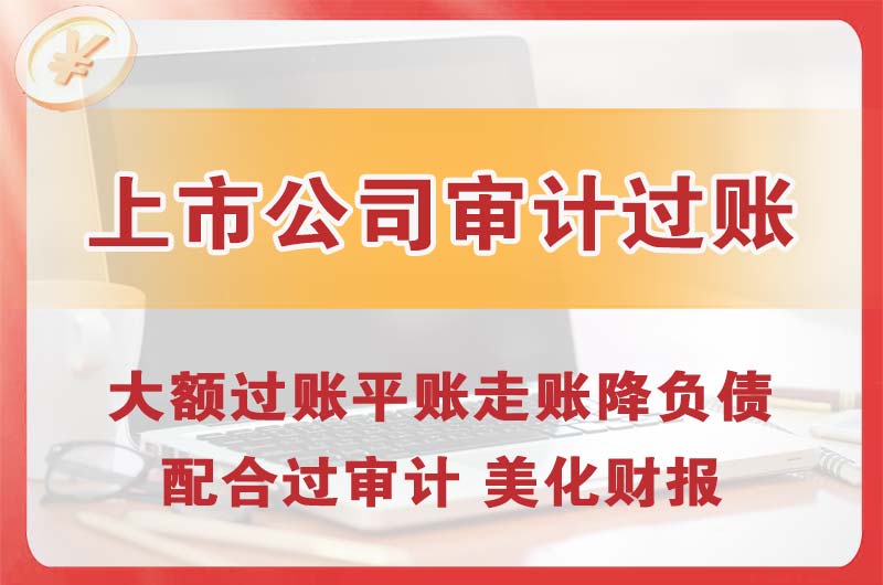 海阳上市公司审计过账